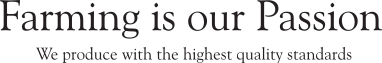text178